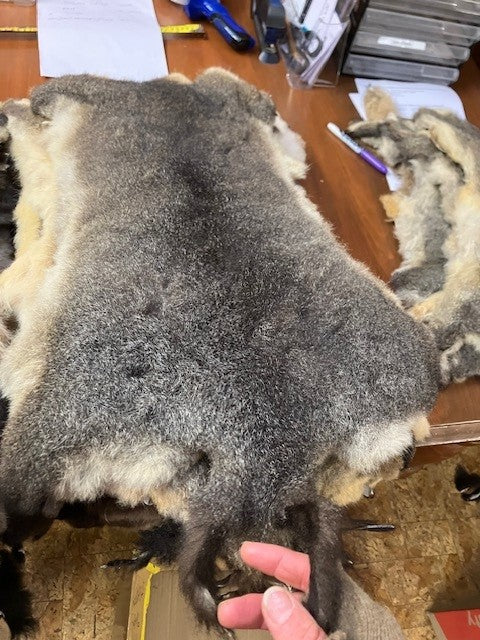 Possum Skin Seconds