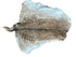 Deer Skins