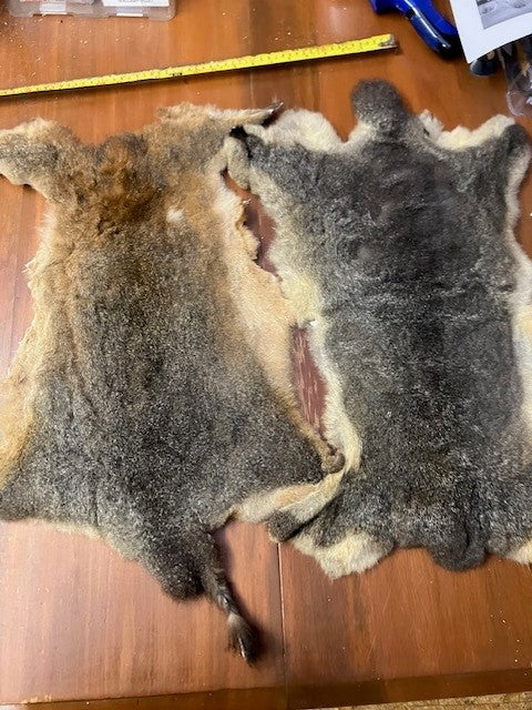 Possum Skin Seconds