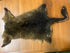 Possum Skin Seconds