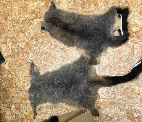 Possum Skin Seconds