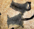 Possum Skin Seconds