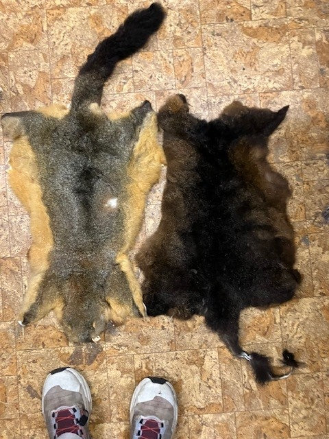 Possum Skin Seconds