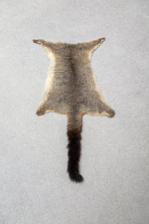 Possum skins